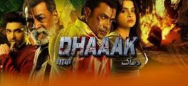 Dhaaak (2024) Hindi CAMRip x264 AAC 1080p Download