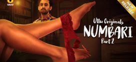 Numbari 2024 Hindi Season 01 Part 02 WEB-DL ULLU WEB Series 720p HDRip Download